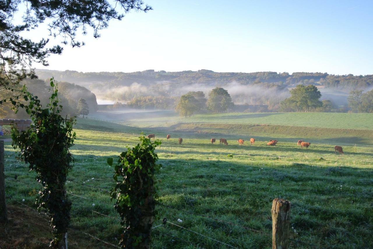 Lacam-dʼOurcetDomaine Les Teuilleres住宿加早餐旅馆 外观 照片