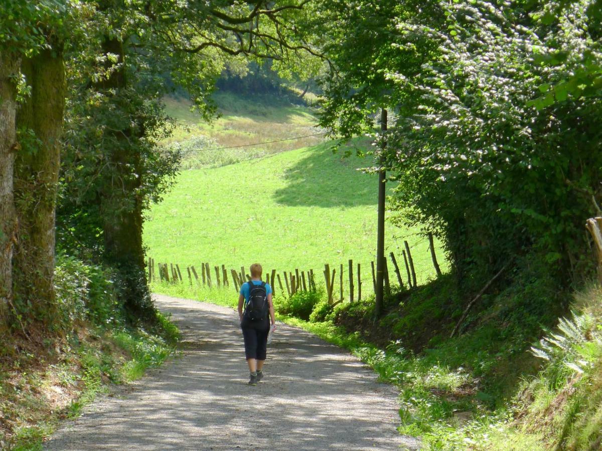 Lacam-dʼOurcetDomaine Les Teuilleres住宿加早餐旅馆 外观 照片